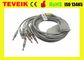Cable de una sola pieza de las ventajas ECG/EKG de Nihon Kohden del pulg del plátano 4,0 10 con DB 15pin para ECG-9022