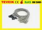 IN1.5 cable del zócalo EEG con cobre plateado del cloruro de plata del fabricante